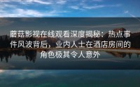 蘑菇影视在线观看深度揭秘：热点事件风波背后，业内人士在酒店房间的角色极其令人意外