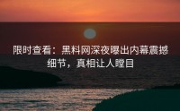 限时查看：黑料网深夜曝出内幕震撼细节，真相让人瞠目