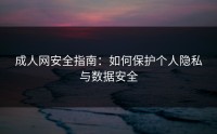 成人网安全指南：如何保护个人隐私与数据安全
