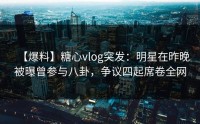 【爆料】糖心vlog突发：明星在昨晚被曝曾参与八卦，争议四起席卷全网