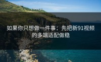 如果你只想做一件事：先把新91视频的多端适配做稳