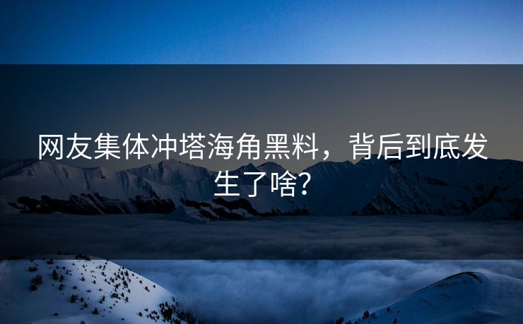 网友集体冲塔海角黑料，背后到底发生了啥？