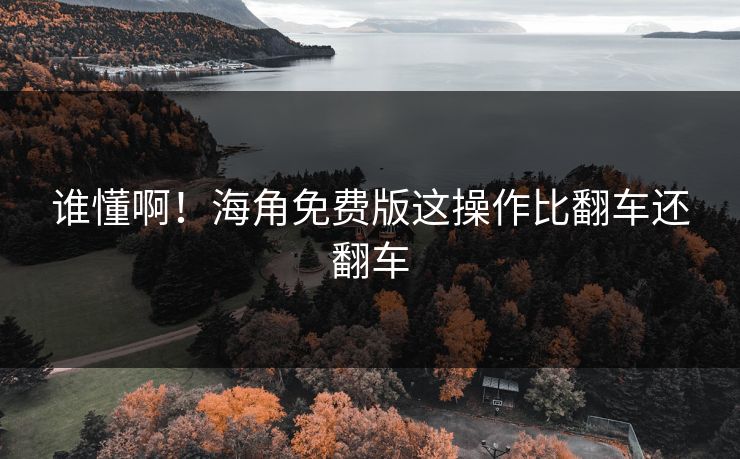 谁懂啊！海角免费版这操作比翻车还翻车