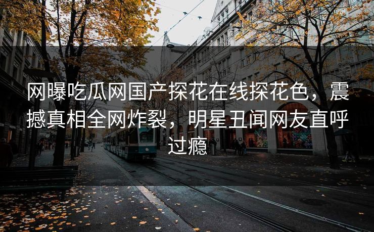 网曝吃瓜网国产探花在线探花色，震撼真相全网炸裂，明星丑闻网友直呼过瘾