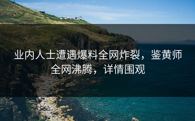 业内人士遭遇爆料全网炸裂，鉴黄师全网沸腾，详情围观