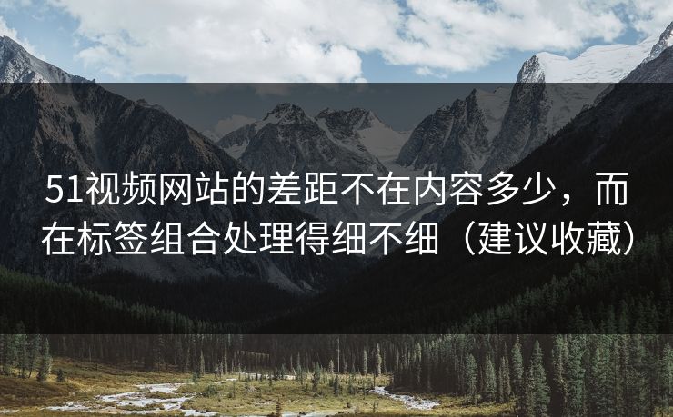 51视频网站的差距不在内容多少，而在标签组合处理得细不细（建议收藏）